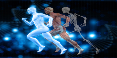 International Journal of Sports Science & Medicine